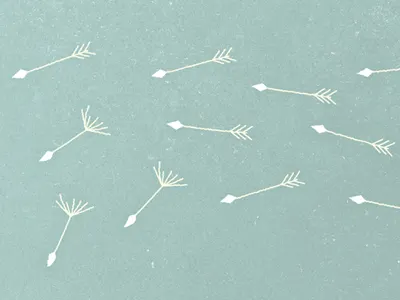 Dandelion arrow dandelion texture