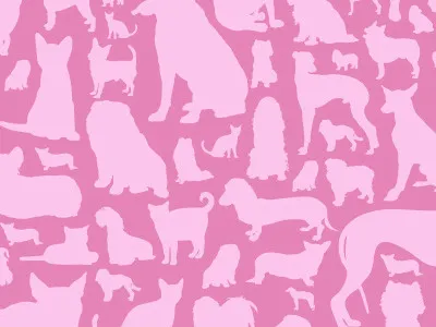 i heart animals animals design dogs dublin pets
