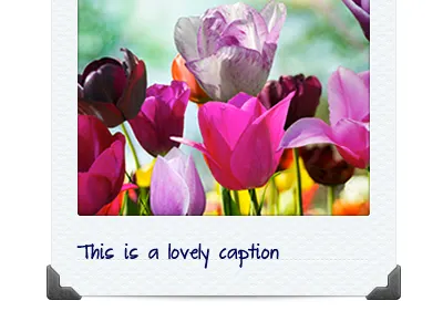 Instant photo and caption clean light peaxl theme wordpress