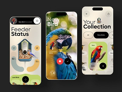 Bird Buddy - Smart Camera Bird Feeder ai app automotive camera design development home iot mobile monitor monitoring saas smart track ui ux web3