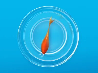 fish Safari blue icon photoshop safari