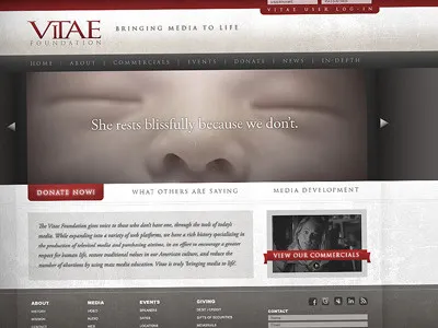 Vitae Foundation brand copywriting design ngo non profit website