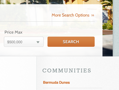 Search Options
