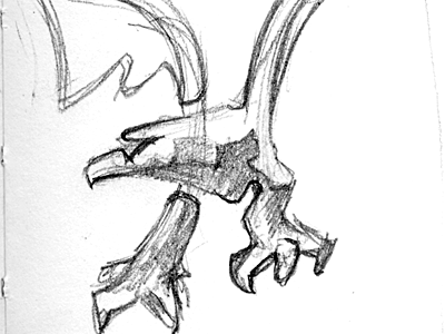 Eagle Exploration Sketch eagle exploring h