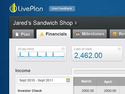 Financials cashflow expense graph income liveplan table tabs ui