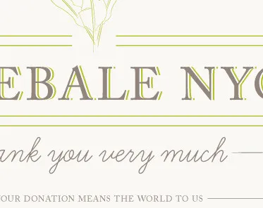 Weybalenyo Thanksfordonating eblast fundraiser thank you