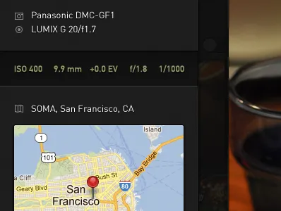 Photo Metadata Panel metadata ui web app