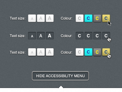 Example of Accessibility Menu