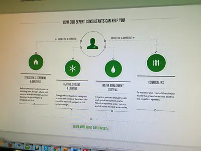 Services Diagram circles diagram green icons web