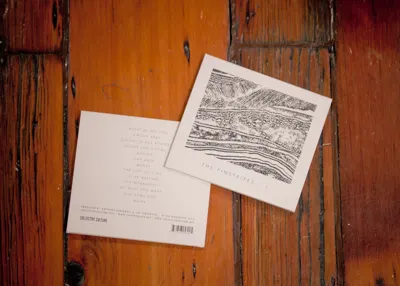 The Pinstripes / I cd music print texture wood