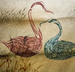 Drawing #5 drawing moleskine rotring swans