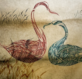 Drawing #5 drawing moleskine rotring swans