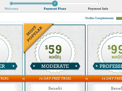 Payment Plans v2 payment plans progress registration typography ui ux