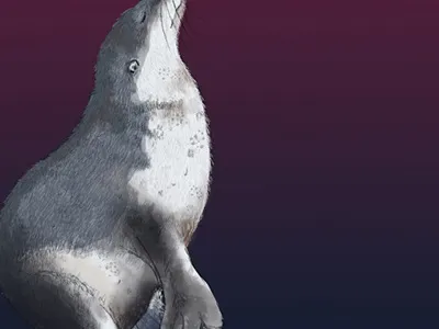 Happy Valentine berry blue digital heart illustration rock seal