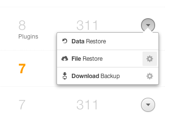 Backup Options Popover icons menu popover vaultpress