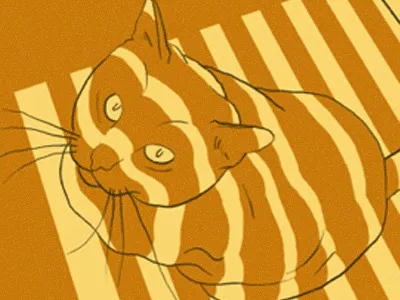 Stephen Malkmus & The Jicks cat hot pocket malkmus mr meow meows sunshine