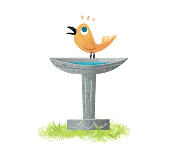 Bath animals bird bird bath