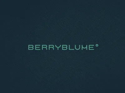 Berryblume custom logo typography