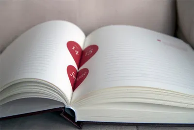 Luna TBWA corporate agenda 2012 2012 agenda calendar corporate illustration layout print typography