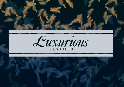 Feather blue feather gradient label luxurious pattern rain transition typography