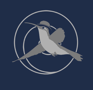 Hummingbird Logo design digital painting illustration logo t shirt