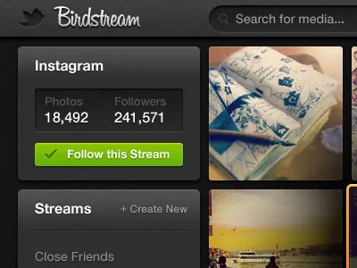 Birdstream birdstream black dark green images media orange photos pictures streams twitter web app