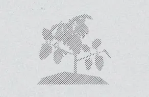 Garden Graphic 155hub