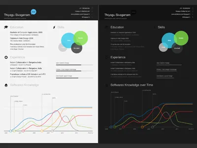 Resume Sneak Peak chart dark graph light resume