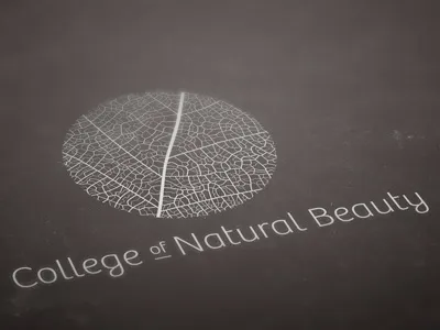 Beauty School logo concept beauty black college leaf logo mark mono natural typography white