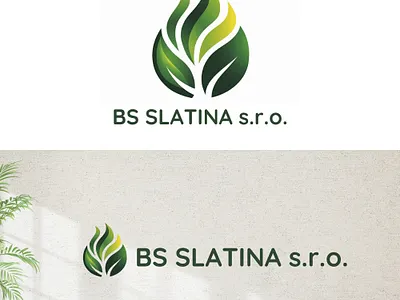 BS SLATINA S.R.O brand designer branding design graphic design illustration logo logo design vector
