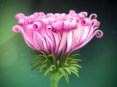 Flower background color flower handmade icon illustration leaf light mood sketch