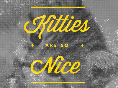 Kitties are so nice! black and white fake anything futura grunge kitten photo texture trailer park boys type typography wisdom script yellow