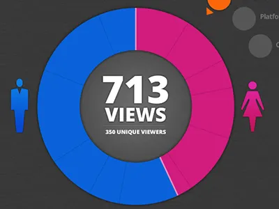 DataVis Experiment dashboard dataviz infographic