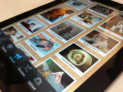 Cutest Paw iPad Version app design ipad iphone mobile ui user interface