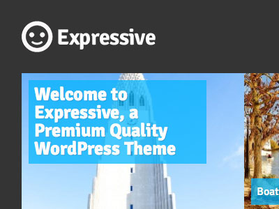 Expressive logo photo wordpress