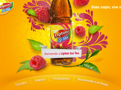 Lipton branding hotsite lipton micro site microsite navigation ui user interface web site website
