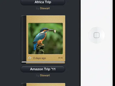 Photo Sharing App UI album graphics ios ipad iphone photo