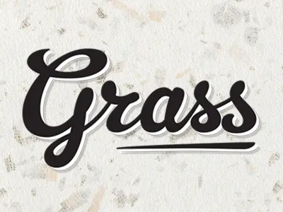 Coop de Grass calligraphy chicken chickens coop flowery font gelato gelato script grass paper script speckled type typography