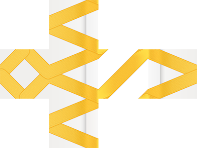 Wrapp Foldable foldable gift wrapp