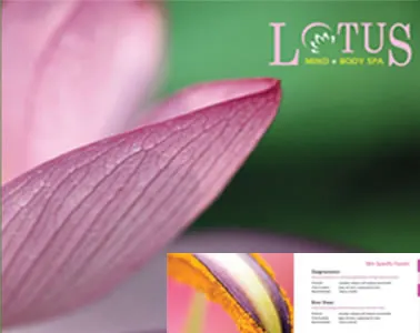 Lotus spa Brochure