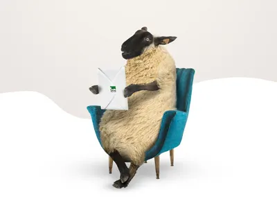 Sheeps concept for mountain hotel resort montage photo postproduction