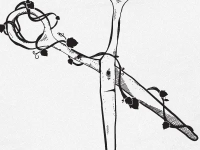 Scissors & Ivy illustration line drawing