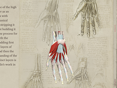 Interactive hand drawings ios ipad leonardo ui