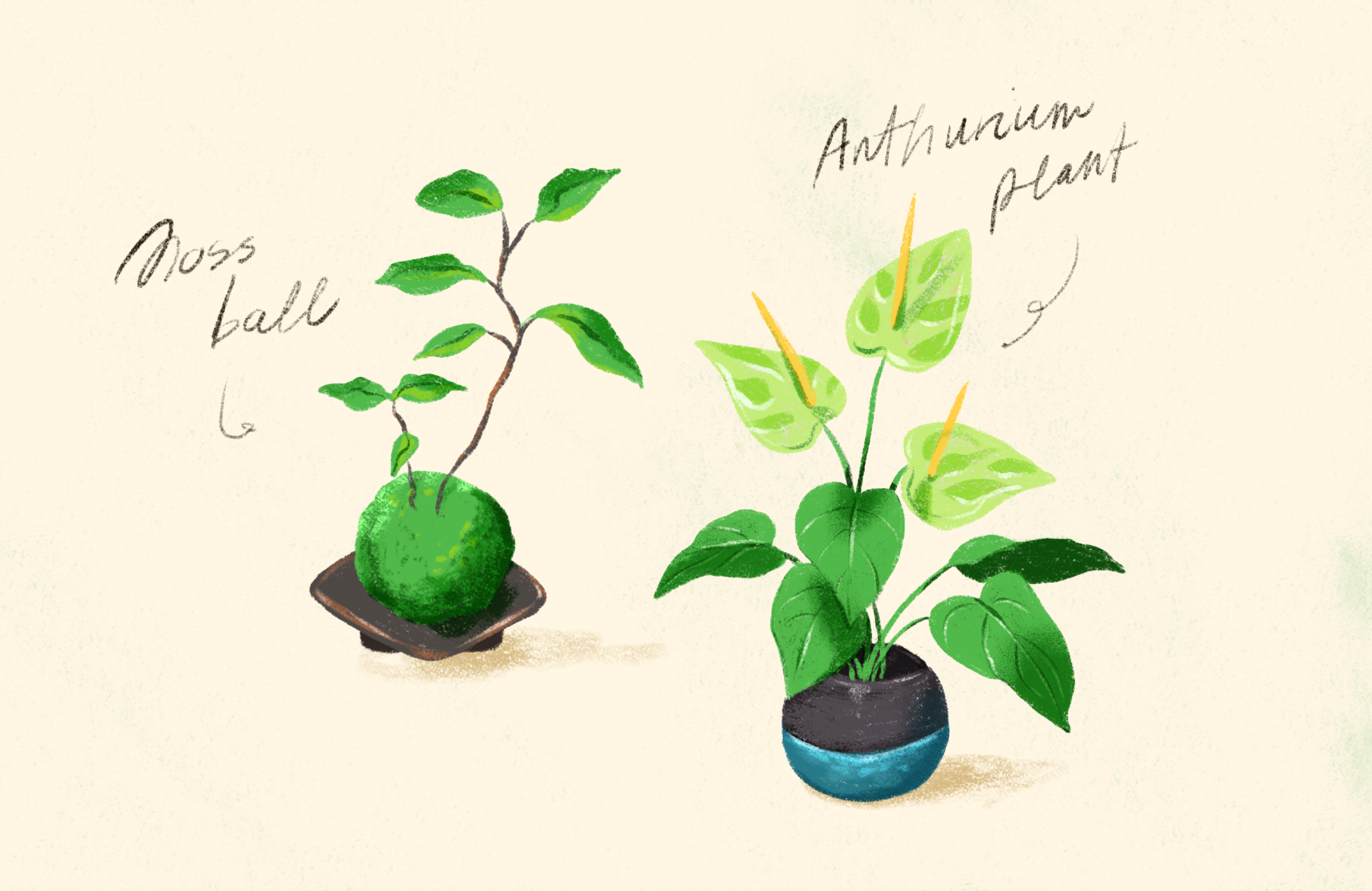 Animal Crossing Plants acnh animal crossing botanical clipart cute decoration drawing greenery greens home house plants icon illustration moss ball nature plants procreate realistic stickers texture