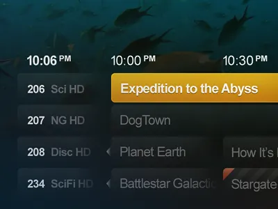TV Guide media player tv guide ui