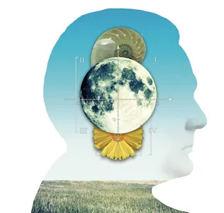 Centro Politerapeutico graphic design illustration logotype