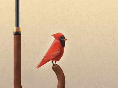 Umbrella bird french illustration umbrella