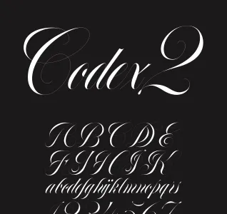 Detail of cover concept for issue #2 of Codex magazine.