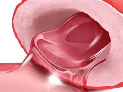 Candy Illustration candy illustration