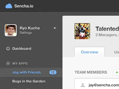 Developer Console avatar badge dark nav tab ui